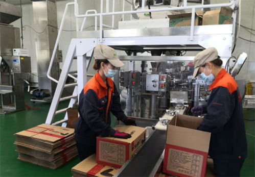 食品廠燃氣蒸汽鍋爐在哪里買 燃氣蒸汽鍋爐有哪些作用