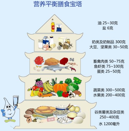 食品安全，人人有責——2020年食品安全日主題思考
