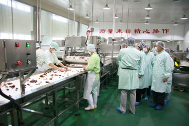 科普日參觀提升食品安全意識