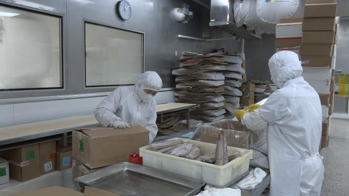 內外雙循環驅動，烤鰻香飄全球——武夷山企業以“三爭”行動引領5億產值新賽道